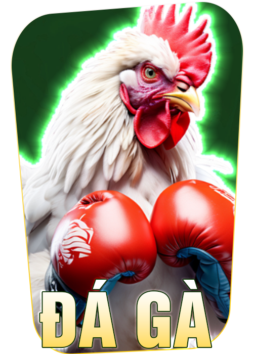 69vn-da-ga