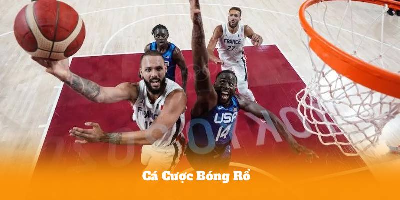 Cá Cược Bóng Rổ – Mẹo Đọc Kèo Tài Xỉu Chuẩn Từ Chuyên Gia